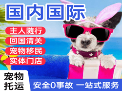 宜昌三峡航空邮寄国际宠物托运 【国